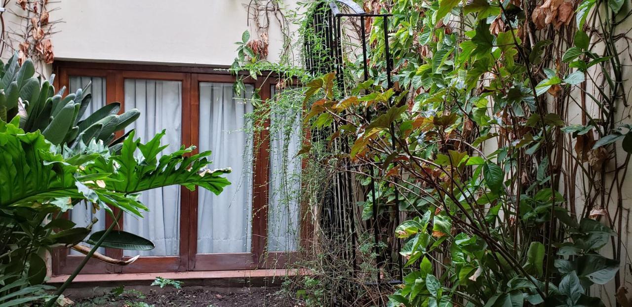 La Casa Del Paseo *